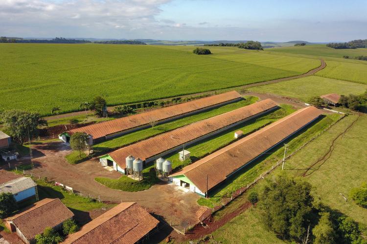 Com Descomplica, Paraná avança na desburocratização dos serviços públicos em diversas áreas
