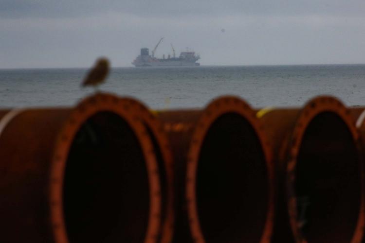 Lançamento da engorda de Matinhos