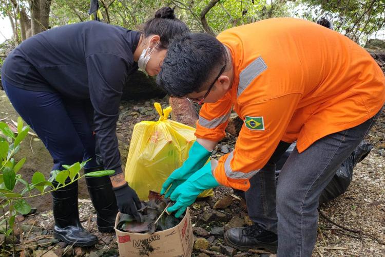 Recolhimento de lixo
