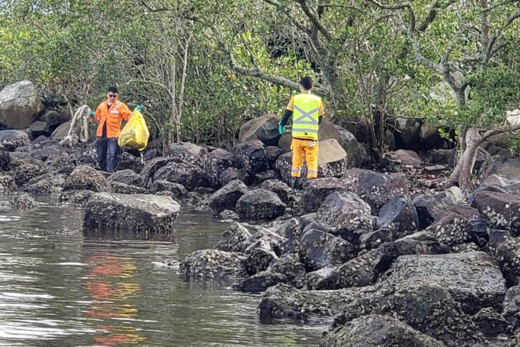 Recolhimento de lixo