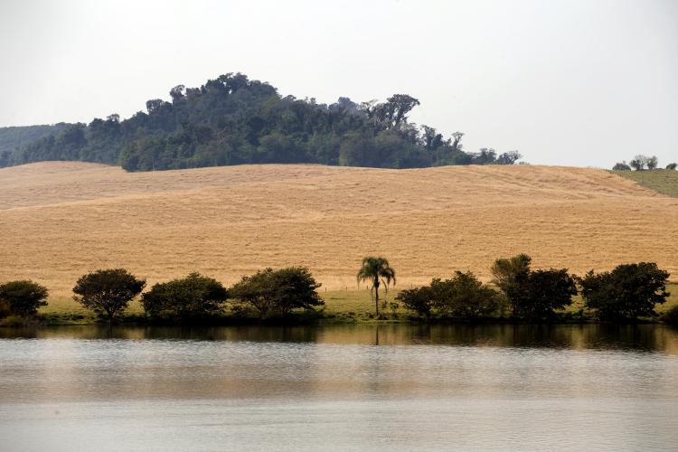 Bacias Hidrográficas
