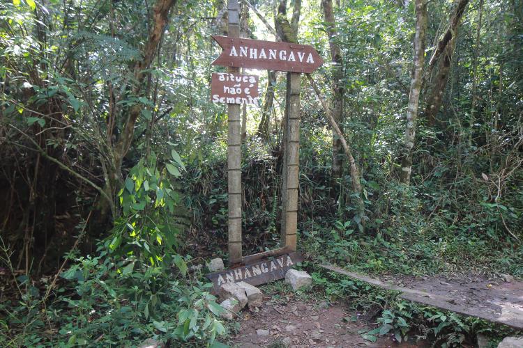 Projeto Parques Paraná é semifinalista do Prêmio Braztoa de Sustentabilidade 2022
