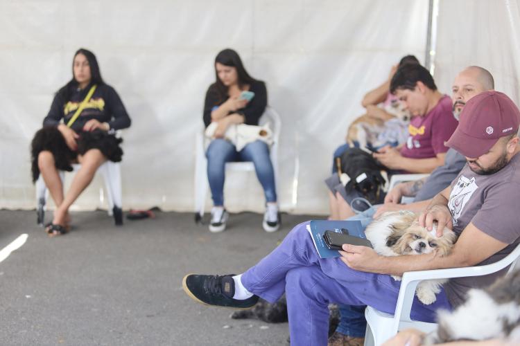 Mais de 2.000 cães e gatos serão atendidos pelo CastraPet Paraná nesta semana.