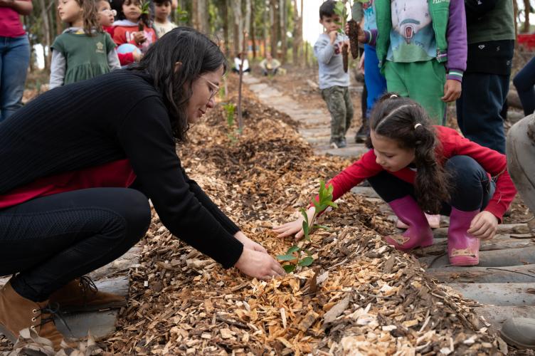 APP Paraná Mais Verde facilita pedido de mudas de árvores nativas para o IAT Foto: Associação Novo Encanto de Desenvolvimento Ecológico