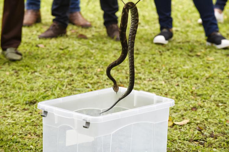 IAT reúne gestores municipais para orientação sobre atendimento aos animais silvestres vitimados Foto: Denis Ferreira Netto/SEDEST