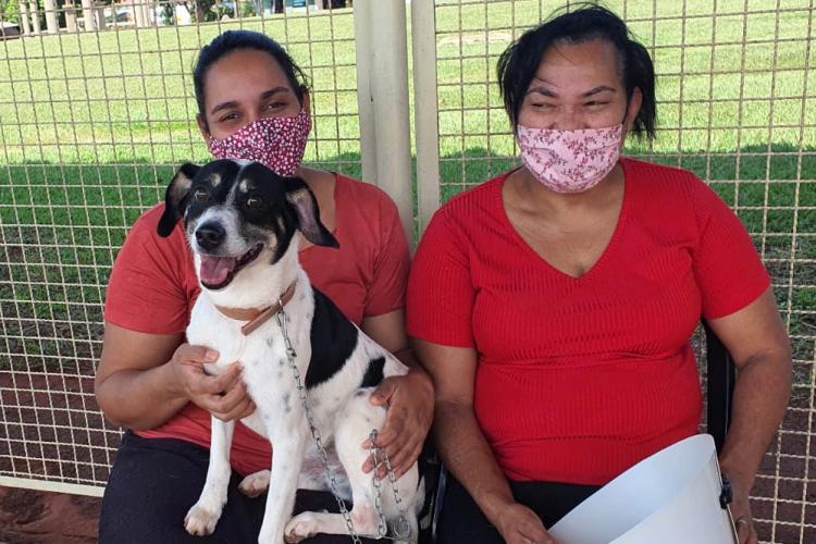 Mais de 2.000 cães e gatos serão atendidos pelo CastraPet Paraná nesta semana.