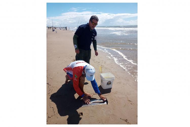 Com apoio do Projeto Rio Vivo, torneios de pesca resultam em recursos aos municípios paranaenses - Foto: SEDEST