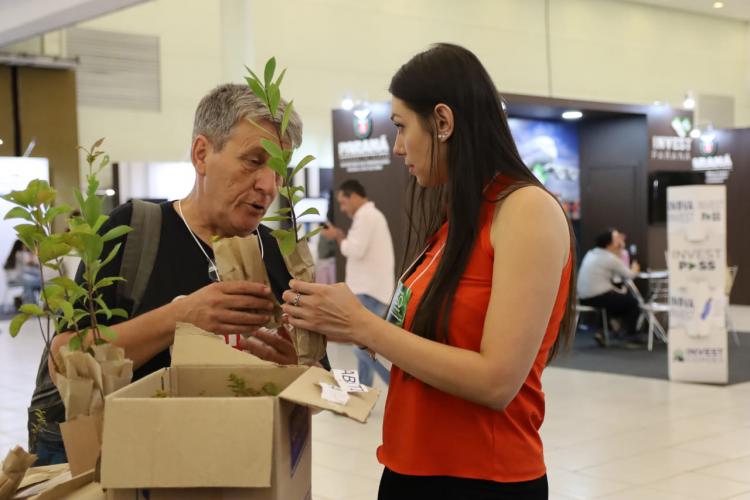 Participantes do Governo 5.0 levam para casa mudas de árvores nativas - Foto: Alessandro Vieira/SEDEST