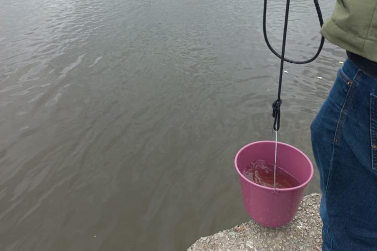 Instituto Água e Terra investiga duas denúncias ambientais em Paranaguá