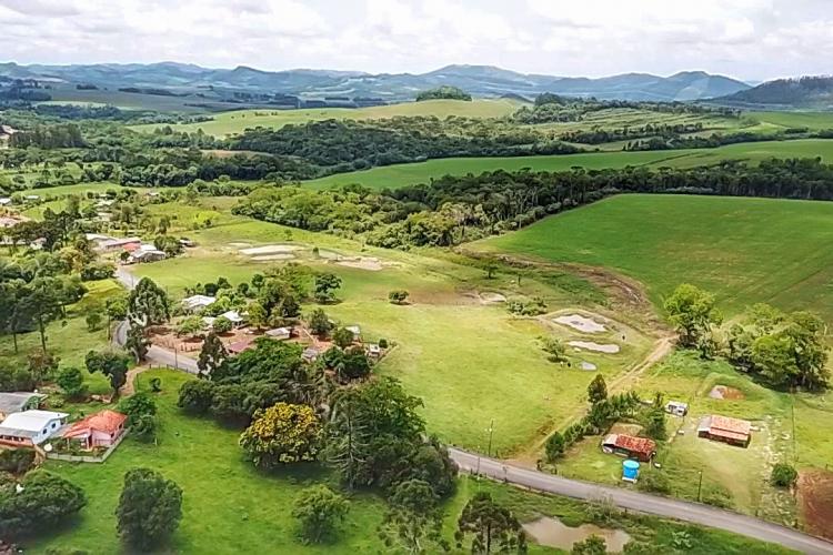 Governo do Estado entrega 94 títulos de domínio e matrículas em Ivaí, nos Campos Gerais - Foto: Denis Ferreira Netto