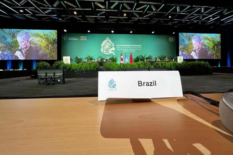 Projetos ambientais paranaenses são destaques em painel da COP15, no Canadá