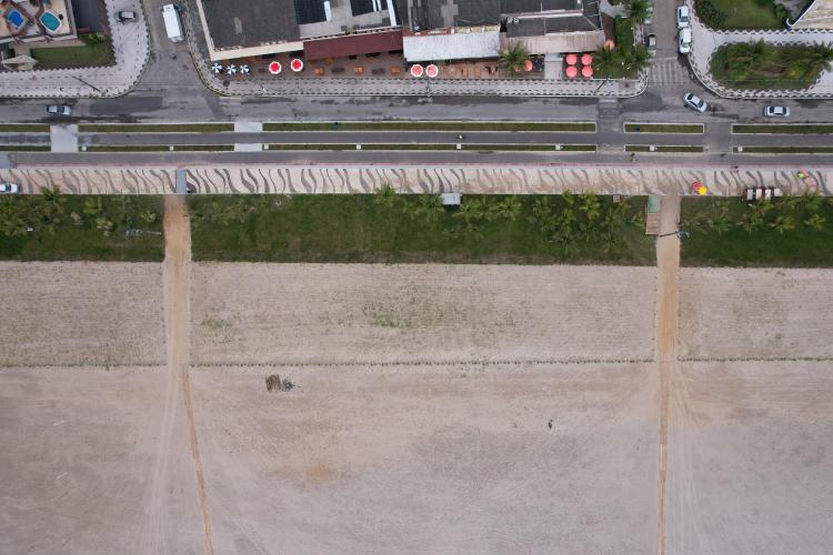 Revitalização da orla vai ampliar em quase cinco vezes a área de restinga nativa de Matinhos