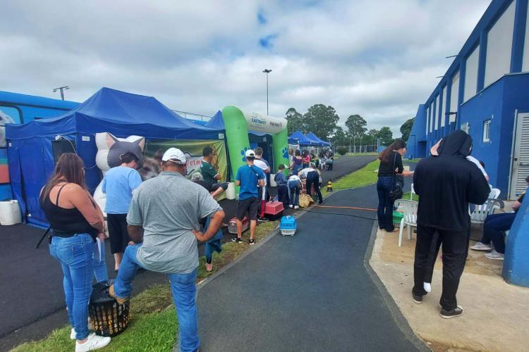 CastraPet retoma em São Mateus do Sul agenda para 2023