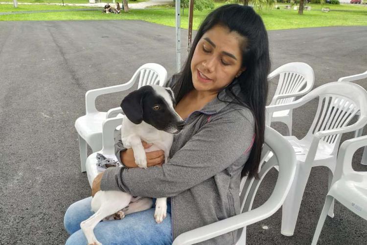 CastraPet retoma em São Mateus do Sul agenda para 2023