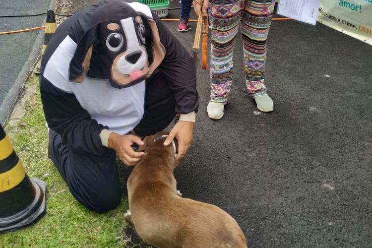 CastraPet retoma em São Mateus do Sul agenda para 2023