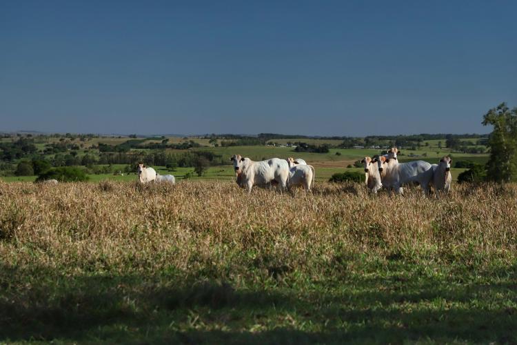 Paraná lança plataforma interativa com riscos de eventos climáticos nos municípios