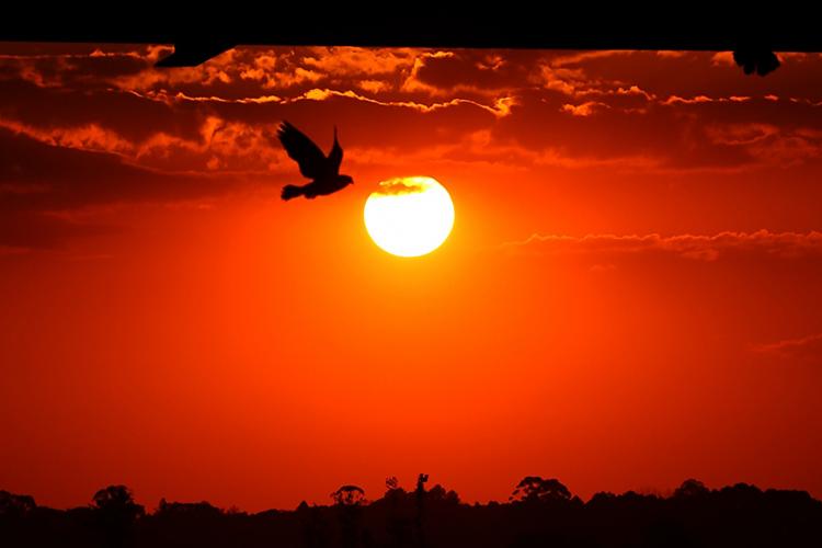 Com El Niño, primavera será quente e chuvosa no Paraná, prevê Simepar - Na foto, Dia do Sol em Curitiba.