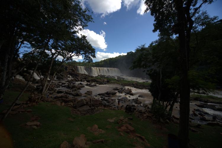 Paraná mais verde: Estado apresentou queda de 73% no desmatamento ilegal da Mata Atlântica entre 2023 e 2024.