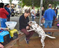 Castração gratuita de cães e gatos inicia ações do Julho Dourado