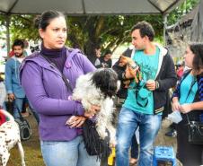 Castração gratuita de cães e gatos inicia ações do Julho Dourado