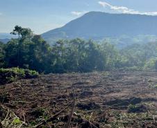 Instituto Água e Terra impede mega desmatamento de Mata Atlântica em São Jerônimo da Serra