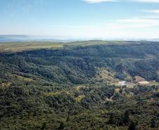 Para não perder o ICMS Ecológico, municípios têm de cadastrar áreas de conservação até 15 de março