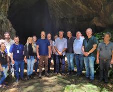 Parque Estadual de Campinhos é a primeira Unidade de Conservação a receber o Poliniza Paraná