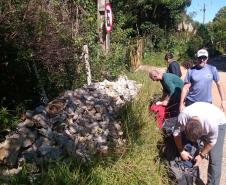 Mutirão voluntário com apoio técnico do Instituto Água e Terra (IAT) vai restaurar e revitalizar a trilha que dá acesso ao Morro Pão de Loth, um dos principais atrativos do Parque Estadual da Serra da Baitaca