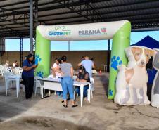 Programa Castrapet Paraná chegará a nove cidades em maio