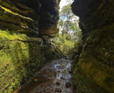 Parque Estadual do Guartelá.