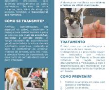 Julho Dourado: Estado lança cartilha orientativa sobre esporotricose em cães e gatos