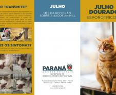 Julho Dourado: Estado lança cartilha orientativa sobre esporotricose em cães e gatos