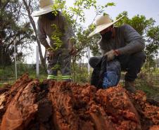 Paraná lidera índice de sustentabilidade do Ranking de Competitividade dos Estados