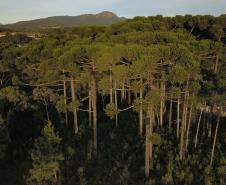 Governo do Paraná amplia logística reversa de baterias de chumbo ácido