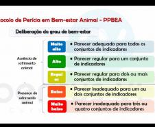 Estado promove capacitação em atendimento a casos de maus-tratos de animais domésticos