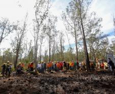 IAT capacita 65 voluntários para atuar em incêndios em Unidades de Conservação