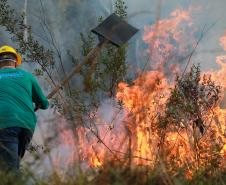 IAT capacita 65 voluntários para atuar em incêndios em Unidades de Conservação