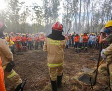 IAT capacita 65 voluntários para atuar em incêndios em Unidades de Conservação