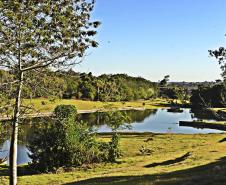 A flora paranaense é a atração do Jardim Botânico de Londrina