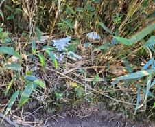 Sujeira deixada por visitantes impacta diretamente na qualidade da água de fontes do Parque Estadual Pico Paraná.