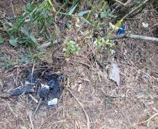 Sujeira deixada por visitantes impacta diretamente na qualidade da água de fontes do Parque Estadual Pico Paraná.
