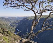 Parque Estadual do Guartelá terá gestão compartilhada entre IAT e Prefeitura de Tibagi
