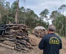 Avanço na fiscalização por parte do IAT fez com que diminuísse a execução de crimes ambientais como desmatamento na região de Maringá.