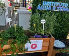 IAT promove a inclusão social e ambiental por meio dos jardins sensoriais