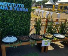 IAT promove a inclusão social e ambiental por meio dos jardins sensoriais