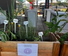 IAT promove a inclusão social e ambiental por meio dos jardins sensoriais