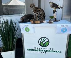 IAT promove a inclusão social e ambiental por meio dos jardins sensoriais