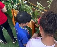 IAT promove a inclusão social e ambiental por meio dos jardins sensoriais