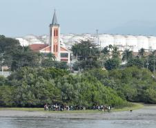 Recomposição dos manguezais na região da baía de Paranaguá.