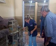 IAT e Unifil renovaram o convênio para atendimento à fauna silvestre: novo vínculo é de cinco anos.